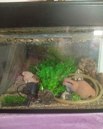 acquario completo 
