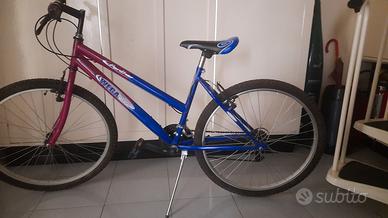 bici mountain bike