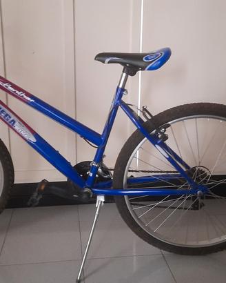 bici mountain bike