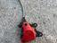 Immagine 4