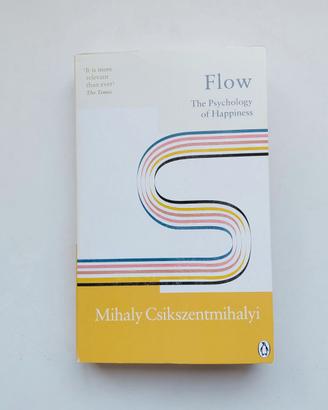 Flow - Mihaly Csikszentmihalyi