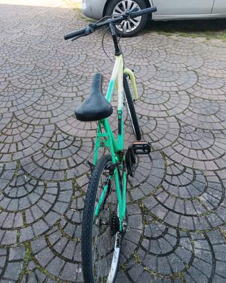 bici mtbike raggio 26