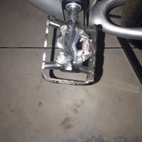 MTB Front carbon Carraro