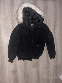 Canada Goose (Chilliwack Bomber)