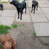 Offriamogli una casa