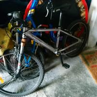 Bici