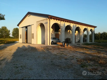 Immobile immerso nel verde Villafranca Padovana