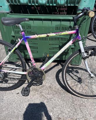 Bici mtb mare camper università