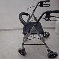 Carrello deambulatore