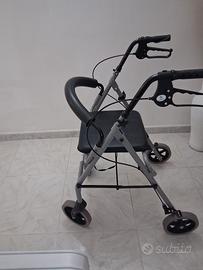 Carrello deambulatore