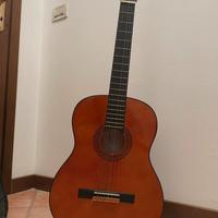 Chitarra Eko