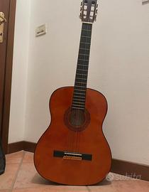 Chitarra Eko