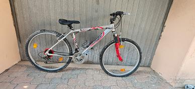 mountain bike