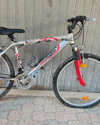 mountain bike