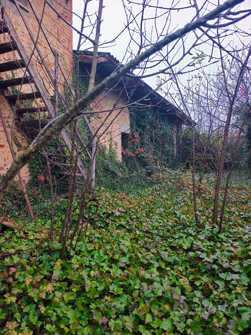 Rustico con terreno a Balocco - Vista 5