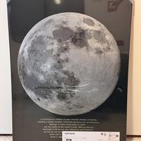 Quadro luna IKEA PJÄTTERYD