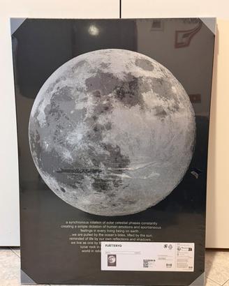 Quadro luna IKEA PJÄTTERYD