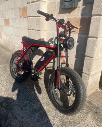 Bici elettrica 1000w