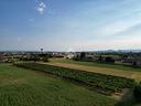 ter-agricolo-a-sandrigo