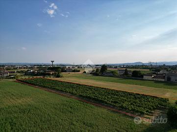 TER. AGRICOLO A SANDRIGO