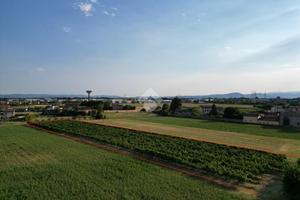 TER. AGRICOLO A SANDRIGO