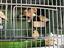 Immagine 4