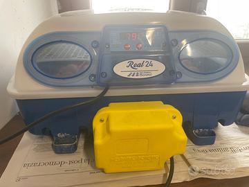 Incubatrice borotto real 24 automatica