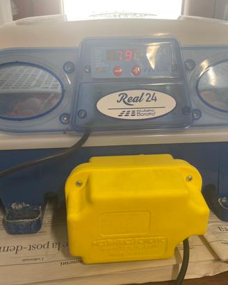 Incubatrice borotto real 24 automatica
