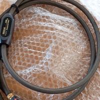 Cavi trasparent  RCA