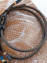 Cavi trasparent  RCA