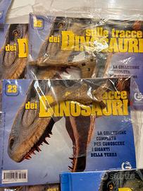 9 Sulle Tracce dei Dinosauri 2002 Fabbri Editori
