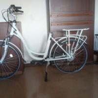 Bici elettrica Olimpia Energo' 26 "