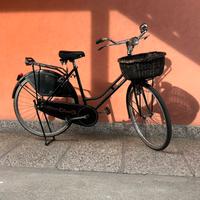 Bici vintage donna Cicli Turis freni a bacchetta