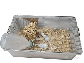 Gabbie per ratti e topi