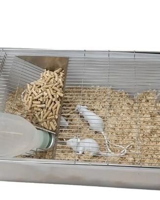 Gabbie per ratti e topi