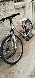 biciclette 