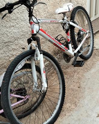 biciclette 