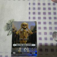 carta skeleton under costudy