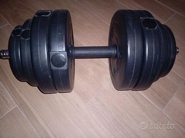 manubri palestra 