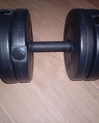 manubri palestra 