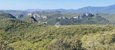 TER. AGRICOLO A FINALE LIGURE