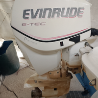 Motore fuoribordo EVINRUDE 115