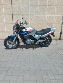 honda cb500 1999