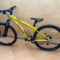 Bicicletta CANNODALE