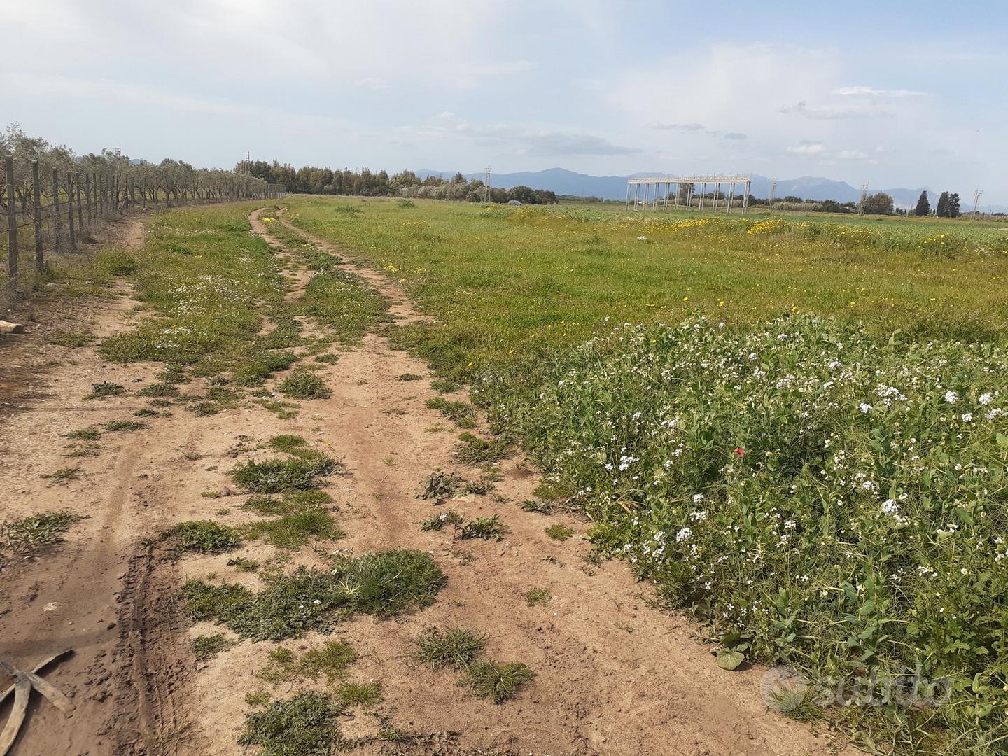 Terreno agricolo irriguo in agro di Villasor - Vista 3