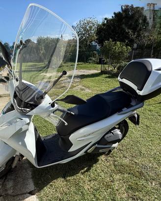 SH150 bianco 2021