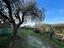 Immagine 22