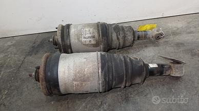 AMMORTIZZATORE POSTERIORE DX LAND ROVER Discovery