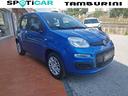 fiat-panda-1-0-firefly-s-s-hybrid-pack-city