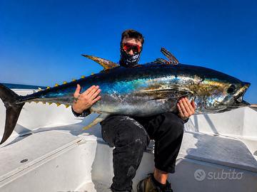 Pesca Tonno e Alletterati , Charter Porto Tolle